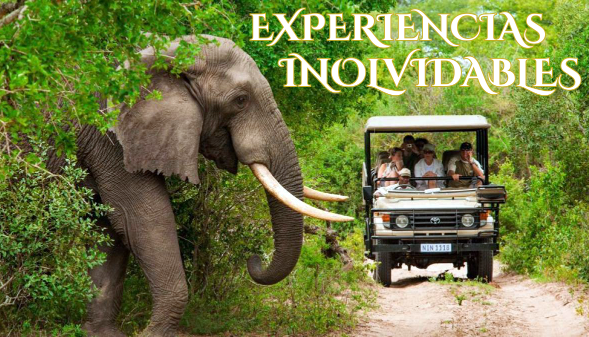 Experiencias Inolvidables